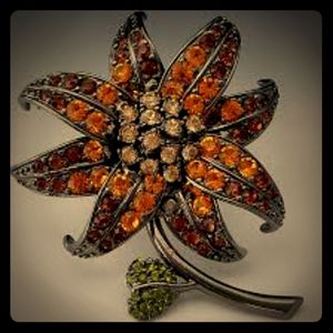 Joan Rivers  large brooch stunning